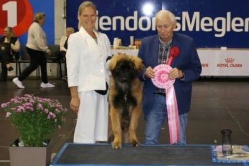 Best In Show Valp 25.JPG
